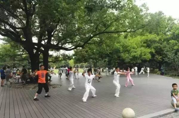 上海中山公园游玩需多少时间,上海中山公园现在去免费吗