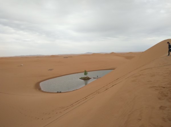 爸爸去哪儿旅游打卡,爸爸去哪儿宁夏中卫沙坡头