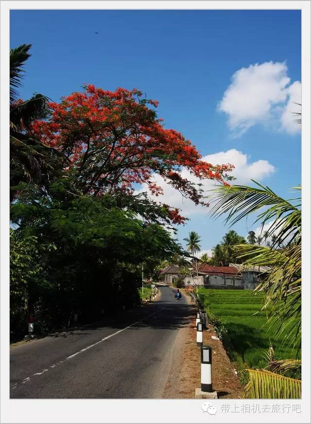 机车环游视频大全,机车环游世界记录