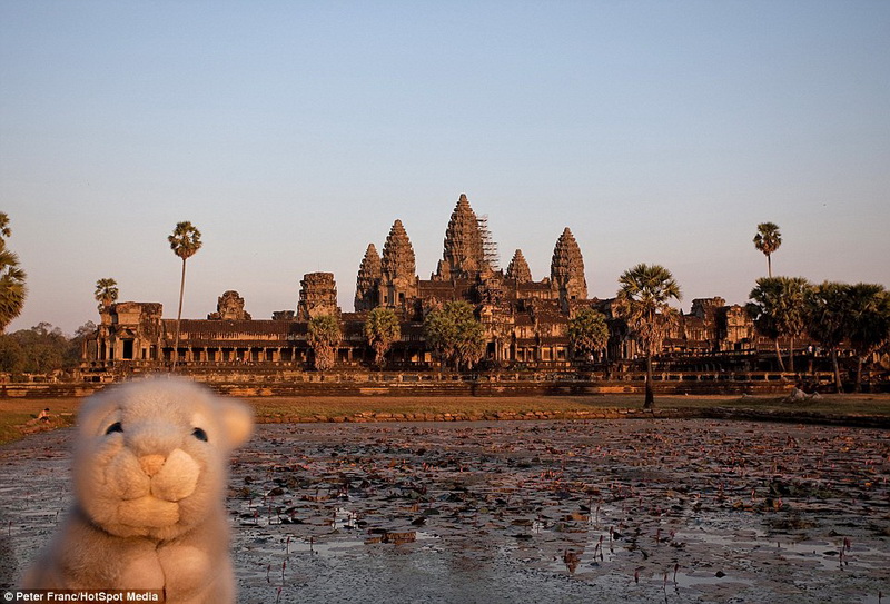 男子携带玩偶兔旅行20多国你想携带什么？