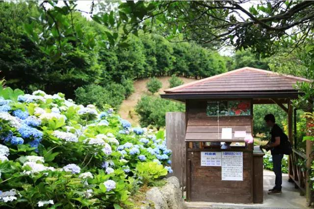 日本姑娘长什么样,想象中的日本是这样的吗