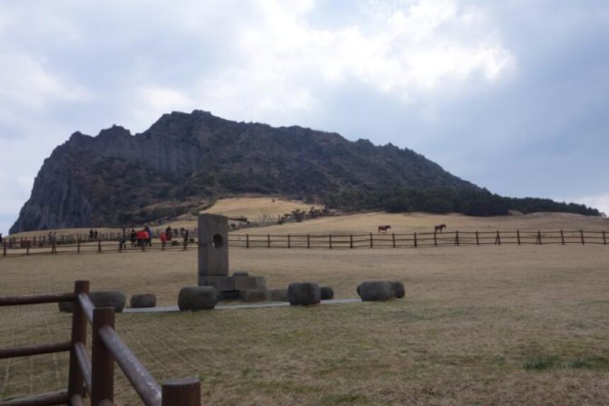 去济州岛旅游可以租车吗,济州岛租车需要什么手续