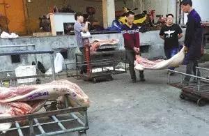 “湿货”更抢手徐州市场生猪肉注水情况严重