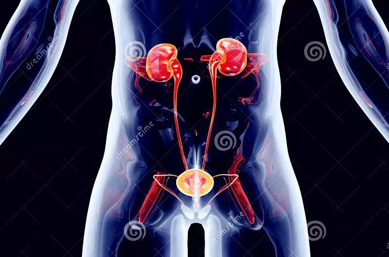 安贞医院十大专家,安贞医院十大专家排名