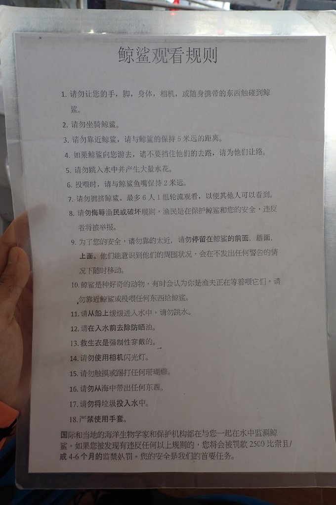 菲律宾杜马盖地和锡基霍尔地图,杜马盖地到锡基霍尔码头船时刻表