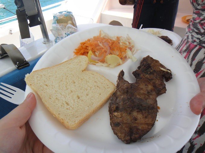 充满颜色的塞舌尔