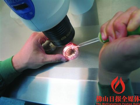 全面二孩时代,迎接二胎宝宝到来