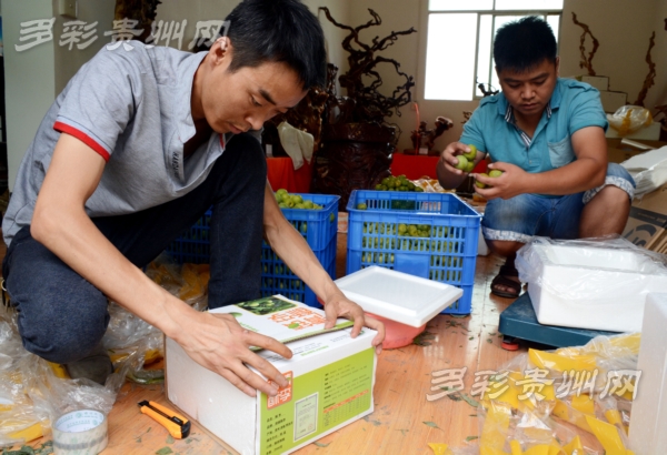 清镇酥李,清镇酥李位置