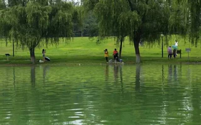 黄河小浪底观瀑时间表,黄河观瀑节