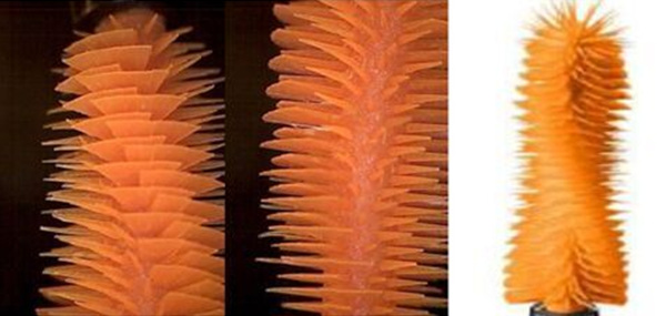 MaxFactor蜜丝佛陀,maxfactor蜜丝佛陀持久粉底液