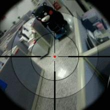 一只有钱的熊生赢家！