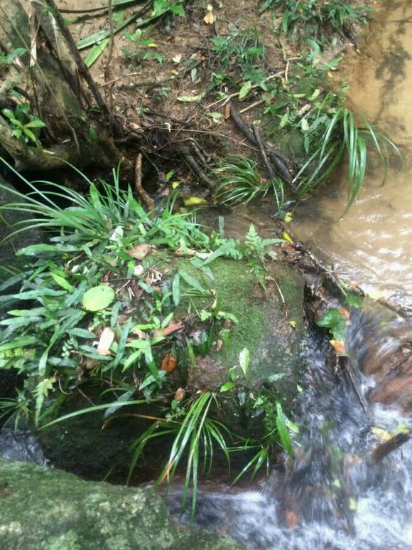 洞里发现玉石原石,洞里发现绿石