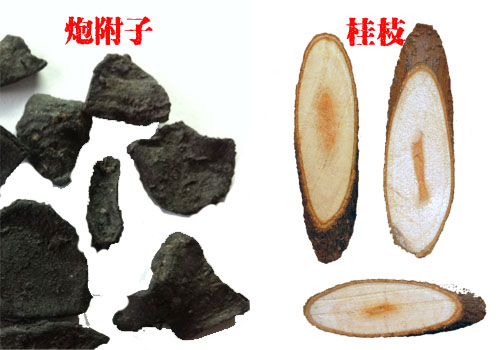 金匮肾气丸适合肾阴虚还是肾阳虚,金匮肾气丸治肾阳虚还是治肾阴虚