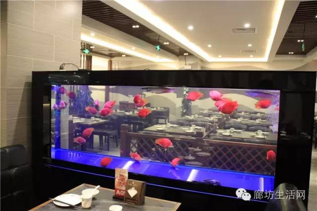 簋街麻小特色菜,簋街麻小哪家最好吃