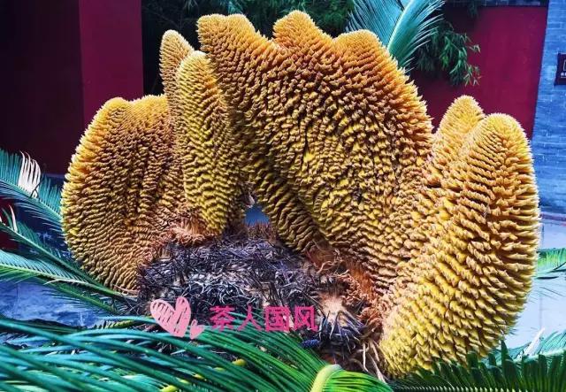 勉县昨晚新闻,今天勉县发生了什么事