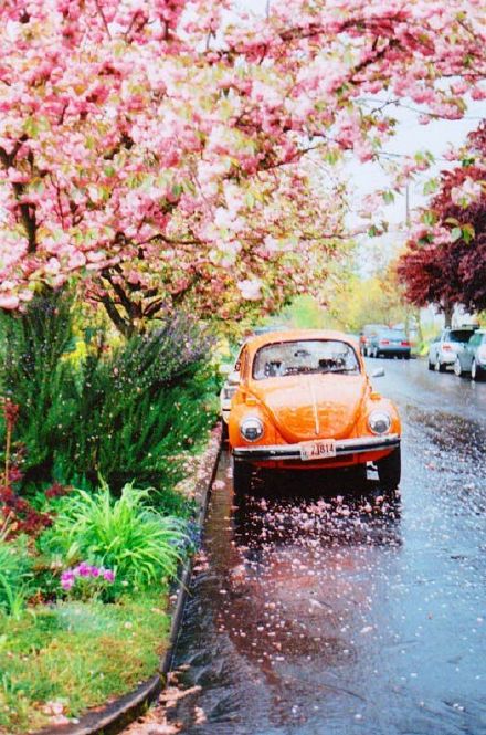 发现被爱人欺骗后要揭穿吗,发现被爱人欺骗