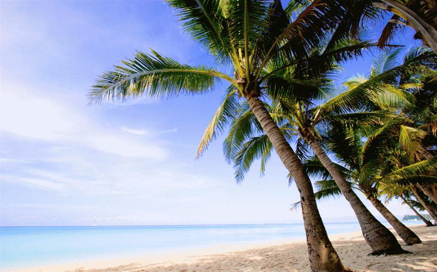 吃个饭感觉去了新加坡,在佛山我只服星州大椰!