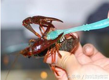 清洗龙虾的绝招,龙虾洗8遍了怎么感觉还脏