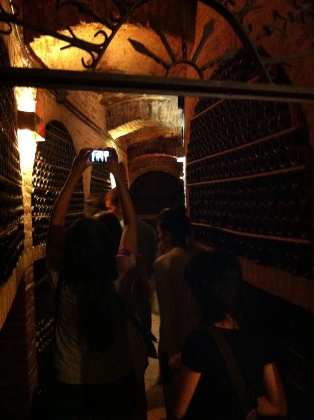 西班牙卡蔓护肤品,西班牙本土护肤