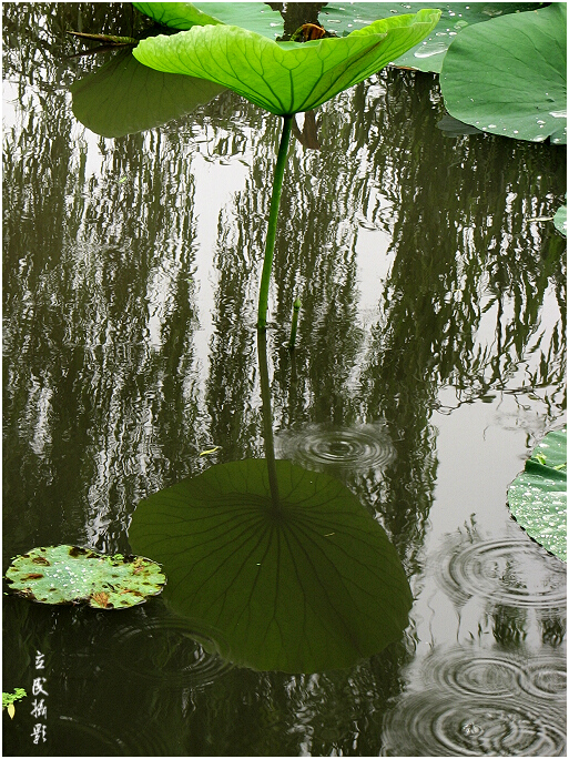 阴雨天青岛适合去的地方,阴雨天青岛旅游攻略三天两夜