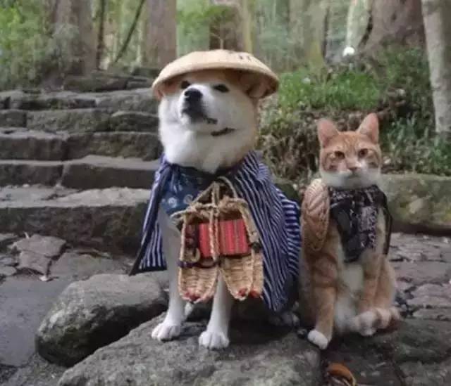 小白学养生|太养眼了!这3招一定要学会!