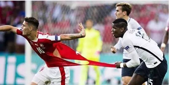 瑞士队视频,瑞士牧羊犬幼犬怎么看纯不纯