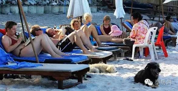 泰国华欣皇宫,泰国华欣皇家后花园