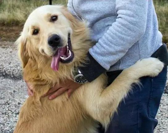 尊重狗，就让它像狗一样的生活！