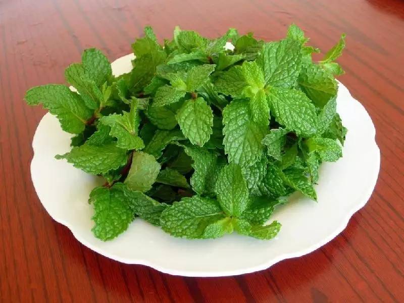 治疗夏季感冒,夏季感冒如何自愈