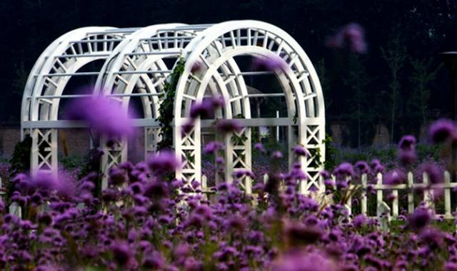 朝阳区的“北京之最”你知道几个？