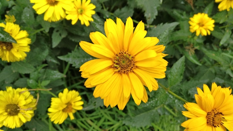 上手体验感好手机,上手体验好的手机