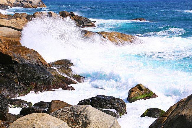 用味蕾感受爱情的酸甜苦辣,用味蕾感受美食独特的魅力