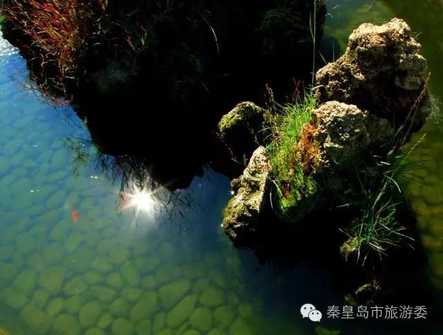 秦皇岛在哪里看海最美,秦皇岛看海必去景点