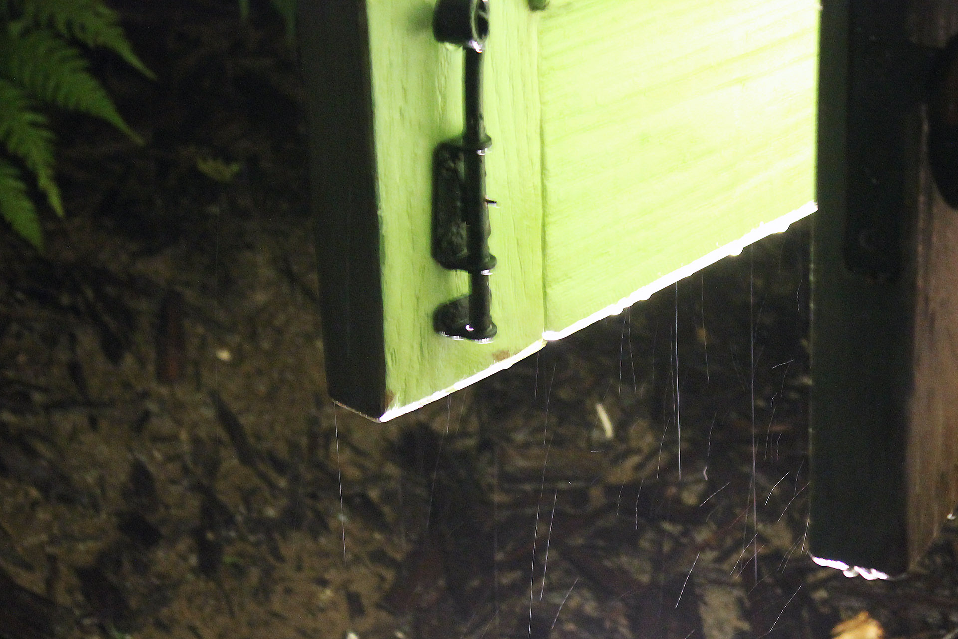 最精简上海迪士尼游玩攻略,最全上海迪士尼游玩攻略