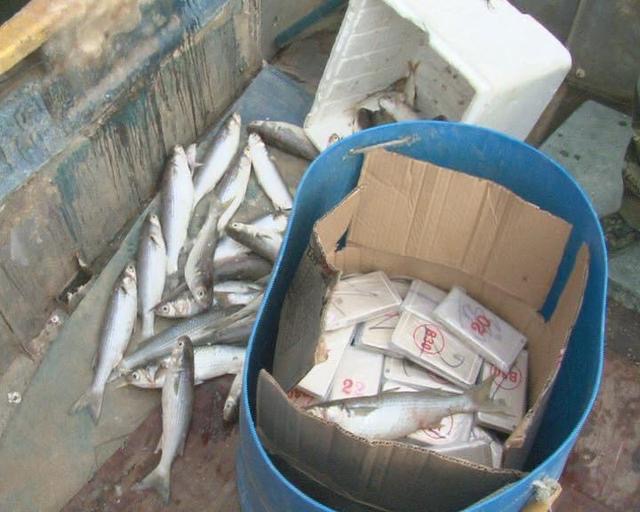 华强北500左右的iphone6s,iphone6s华强北