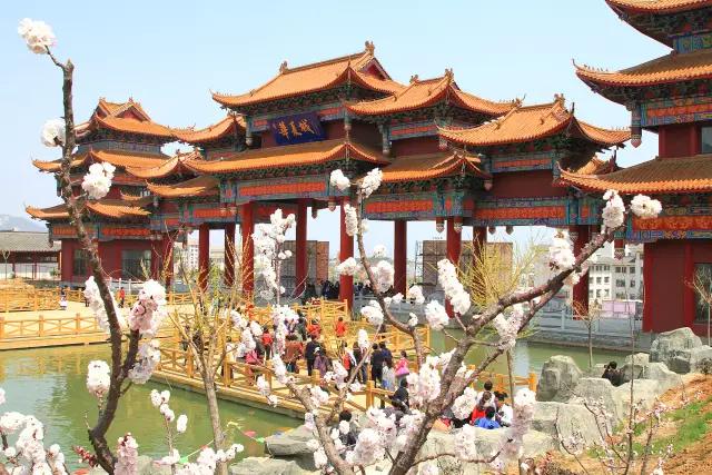 山东青岛威海长岛旅游攻略,青岛烟台威海蓬莱长岛8日游攻略