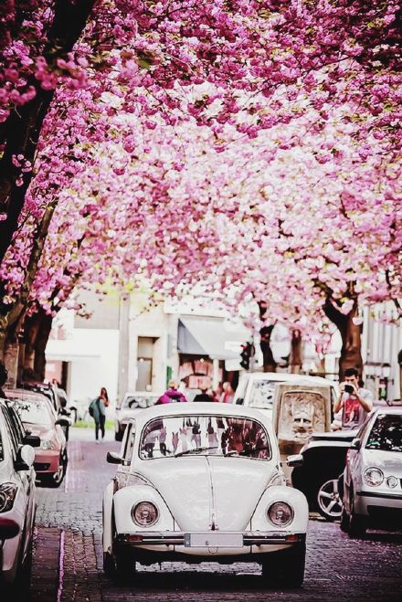 发现被爱人欺骗后要揭穿吗,发现被爱人欺骗