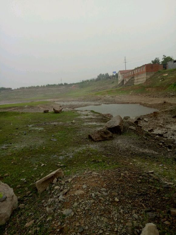 被甲鱼咬了要不要打狂犬疫苗,被鳖咬伤要打狂犬病疫苗吗