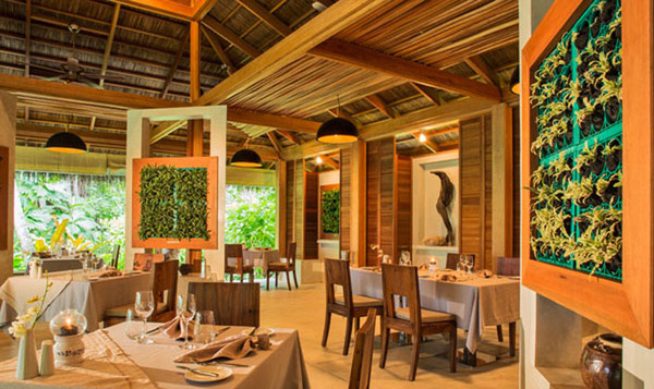 美佳航空的飞机,马代库拉玛蒂kuramathi价格