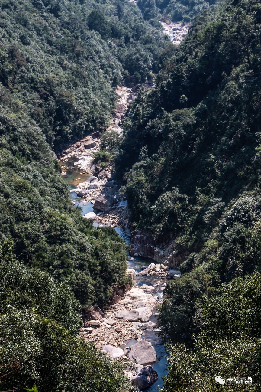 秘境杨梅,安吉杨梅溪