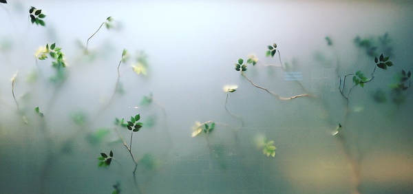 多图｜我花了72小时，吃遍首尔美食