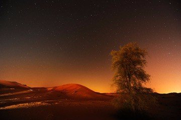 迪拜阿布扎比5天旅游攻略,迪拜阿布扎比一日游攻略