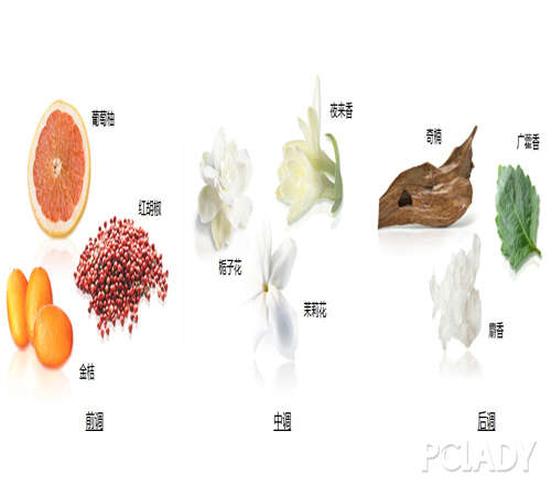 新年香氛挚爱献礼AmazingLangLang魅力郎朗香水上市