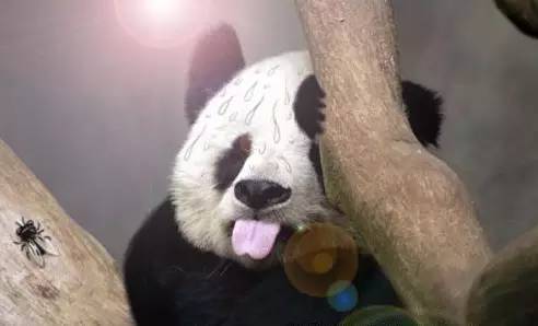 大连最美的海岛是哪里,大连哪个海岛好玩还吃得好