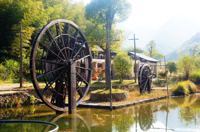 得了这四种病肯定是胃癌,得了这四种癌你应该庆幸