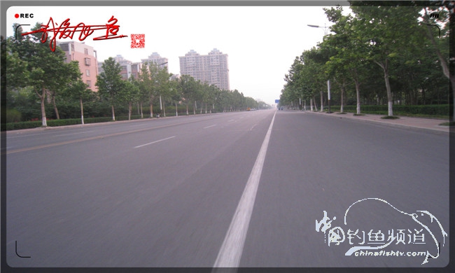 马踏湖国家湿地公园远足,马踏湖国家湿地公园游览路线