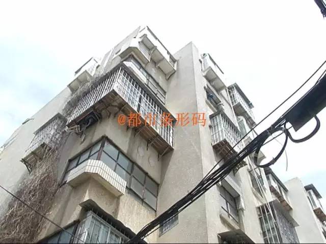 小区燕子来访居民不堪其扰