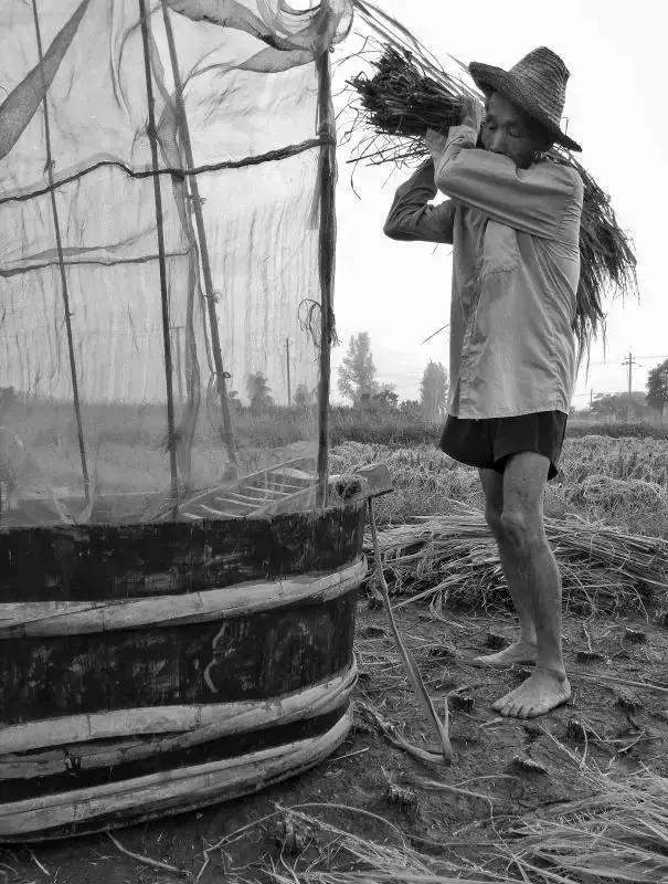 优秀手机摄影作品的五个要素,手机拍的作品