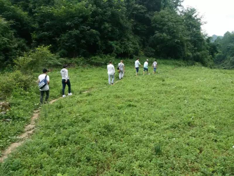 《红旗飘飘》《净土》著名词曲人为《碧血丹心》主题曲再次合作