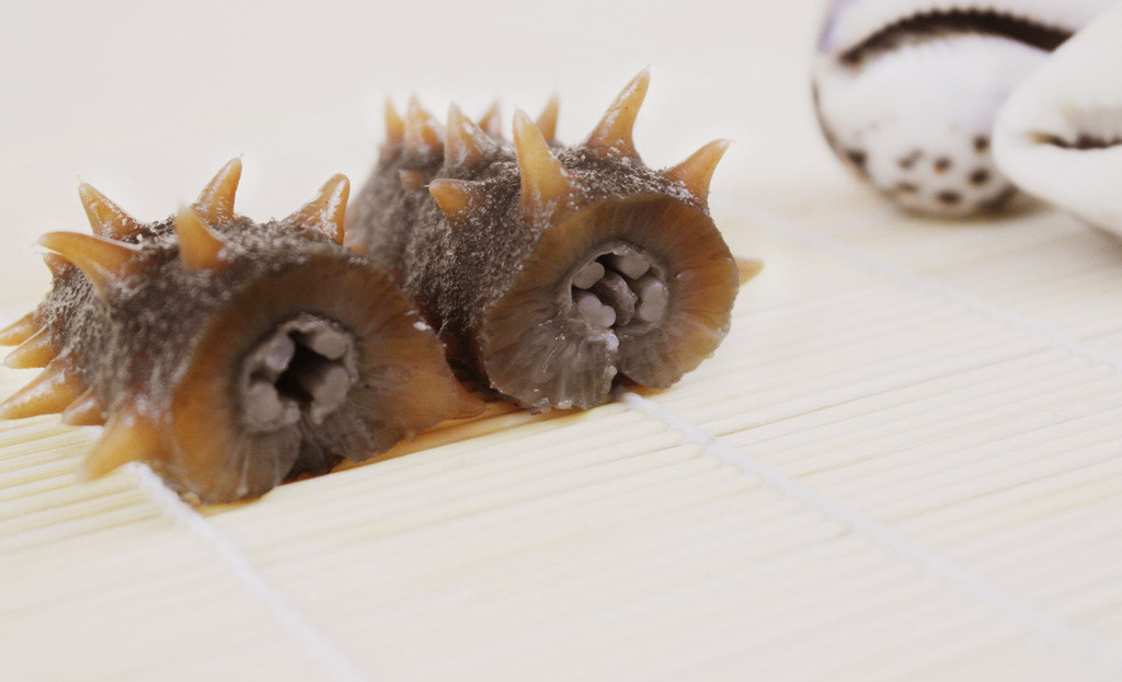 野海参的作用与功效,海参的功效中医